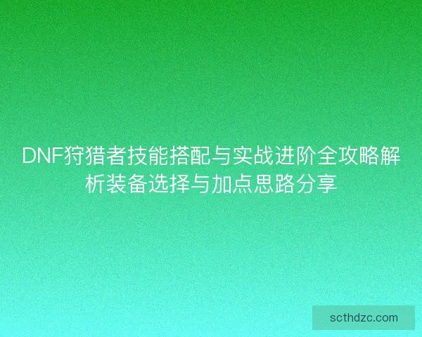DNF狩猎者技能搭配与实战进阶全攻略解析装备选择与加点思路分享